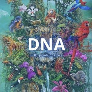 DNA -chillax store-